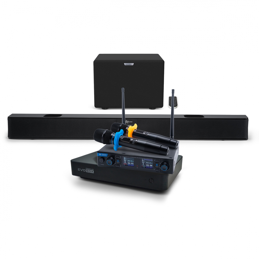 Hi-End караоке-система EVOBOX Premium + EvoSoundBar (саундбар с караоке) в Электрогорске