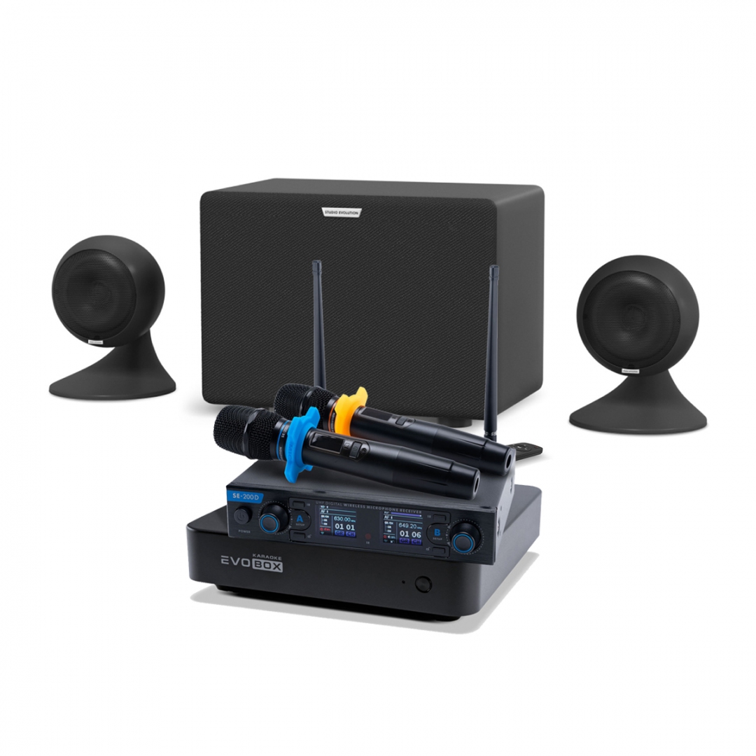 караоке-комплект EVOBOX + EvoSound Sphere 2.1 в Электрогорске