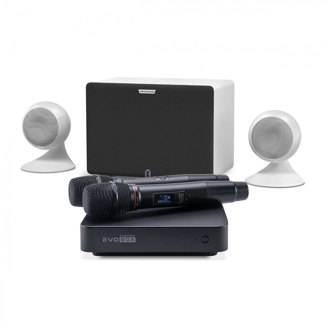 караоке-комплект EVOBOX Classic + EvoSound Sphere 2.1 в Электрогорске