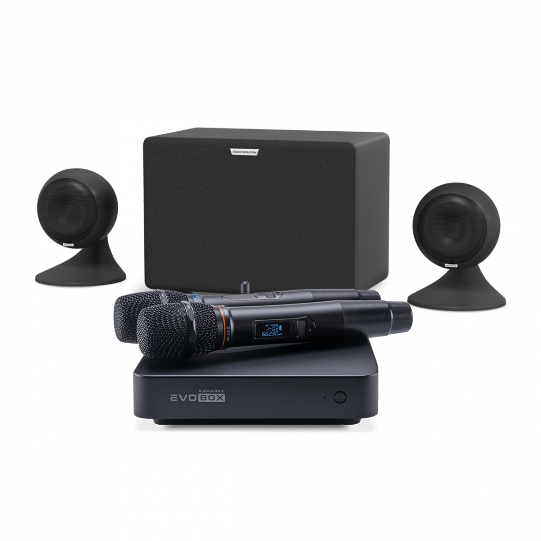 караоке-комплект EVOBOX Plus + EvoSound Sphere 2.1 в Электрогорске