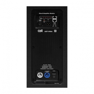 Активная акустическая система AST-310A в Электрогорске