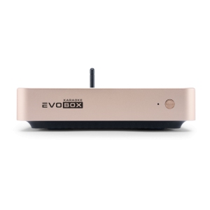 EVOBOX Classic караоке-система для дома в Электрогорске