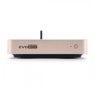 EVOBOX Plus караоке-система для дома в Электрогорске