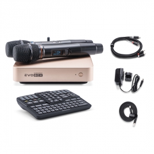EVOBOX Plus караоке-система для дома в Электрогорске