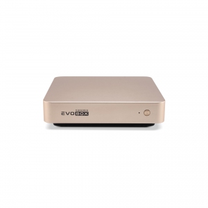 EVOBOX с микрофонами в Электрогорске
